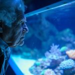 Découvrez le fascinant musée océanographique de Monaco